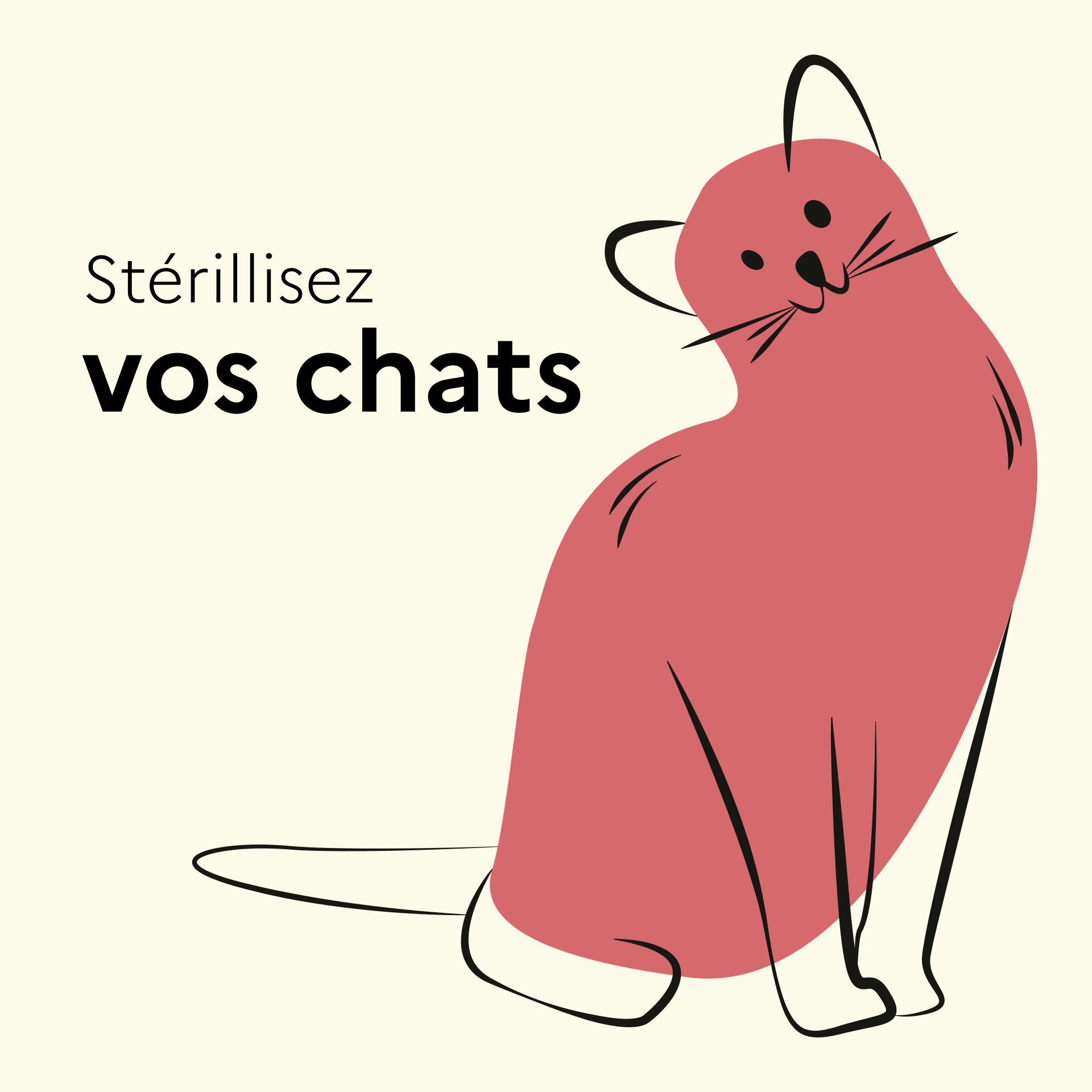 chat